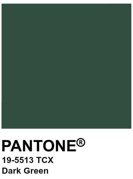 Photo of green pantone sample