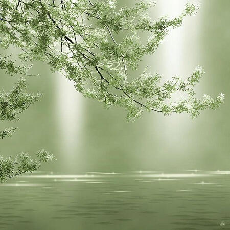 Photo of green tree with green background