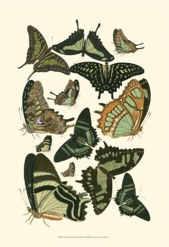 Green butterfly chart